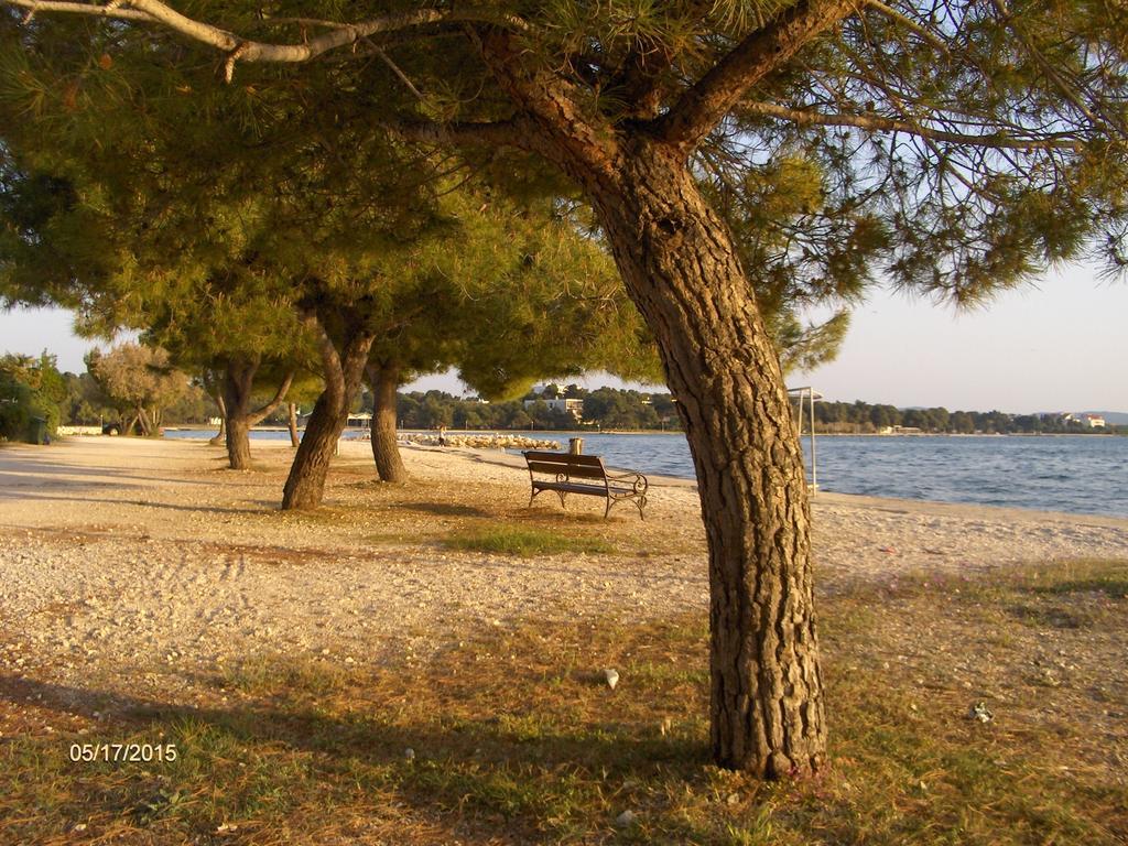 Apartment Tome Diklo Zadar Pokoj fotografie